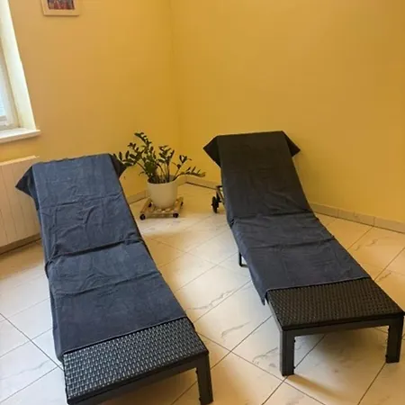 Styria - Boutiquehotel Mit Sauna Und Optionaler Halbpension Bad Aussee